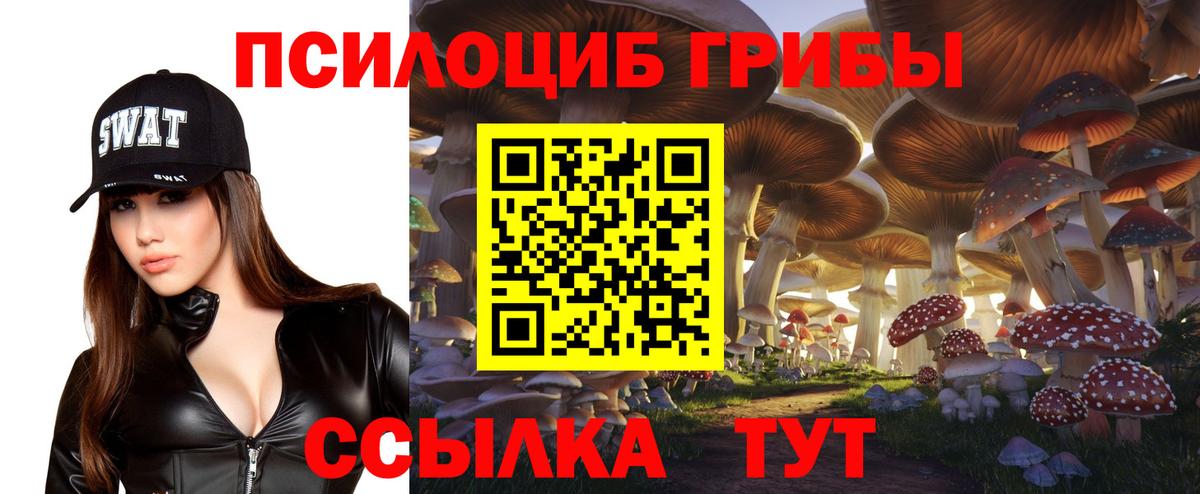 Галлюциногенные грибы Psilocybine cubensis  Вход с VPN  Псилоцибиновые грибы Cubensis  наркошоп  Елизово 
